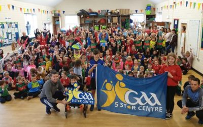 Knockskeagh – GAA 5 Star Centre