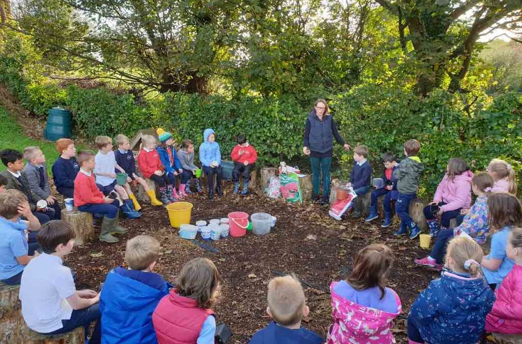 Nature Walks and Biodiversity in Knockskeagh