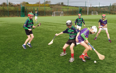 Knockskeagh in Hurling and Camogie Blitz