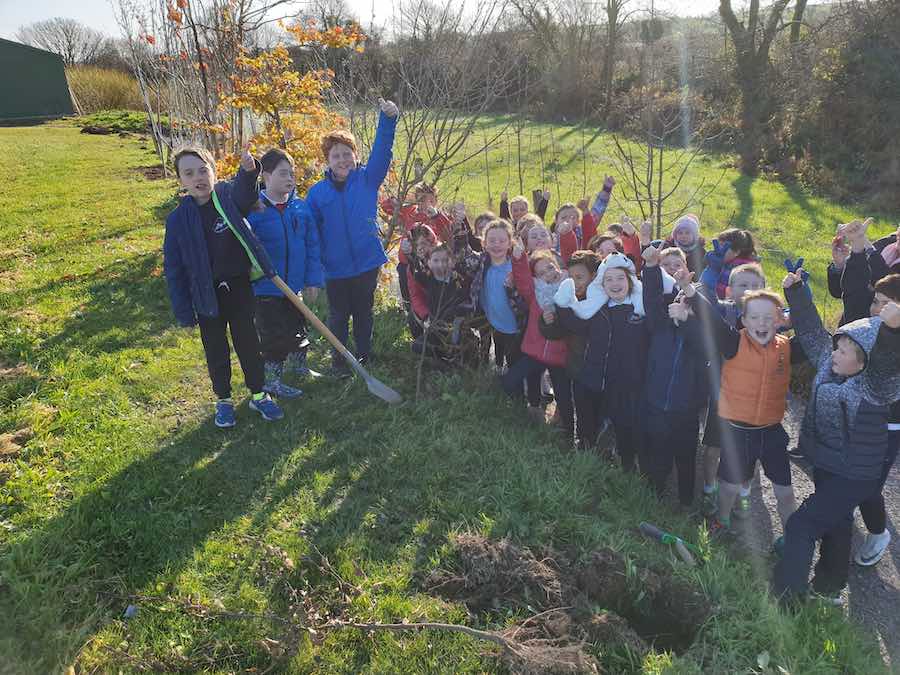 Tree planting