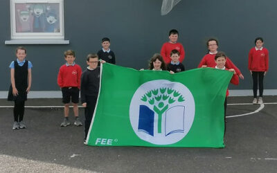 Knockskeagh awarded its 6th Green Schools Flag