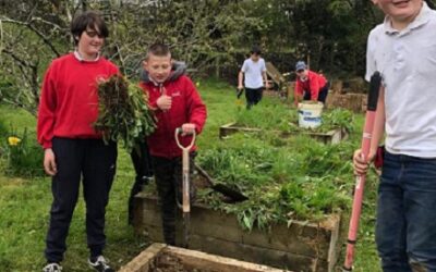 School Garden