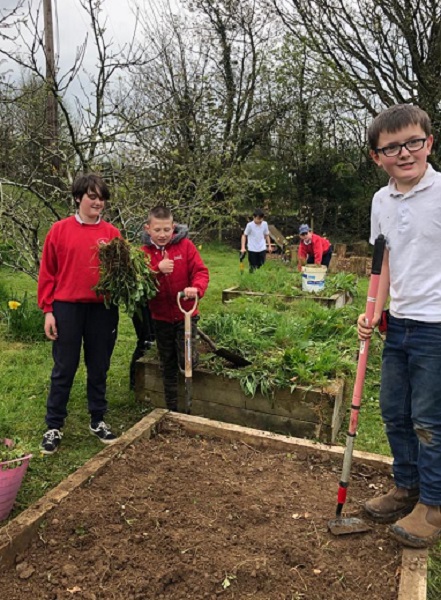 School Garden - Knockskeagh National School