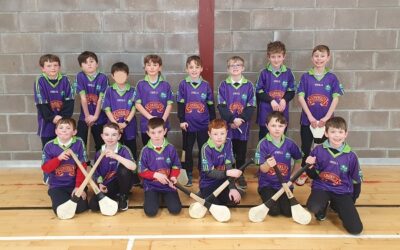 Camogie and Hurling Tournaments 2023