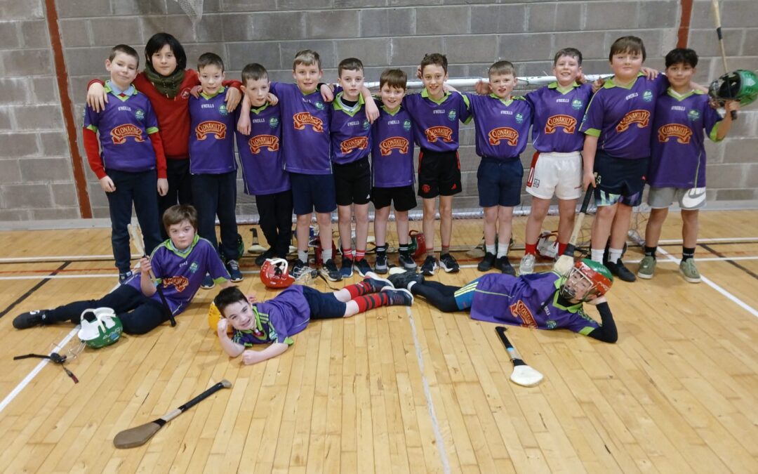 4th Class Hurling Indoor Series