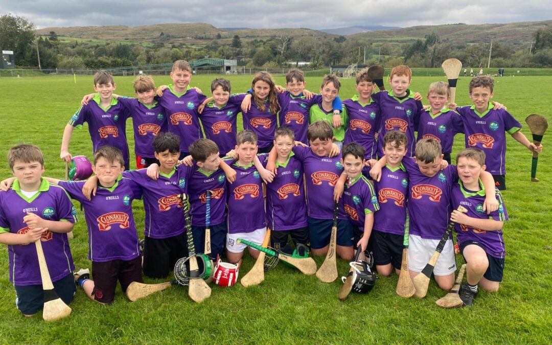 Camogie and Hurling Blitz