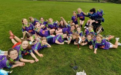 Camogie and Hurling Finals