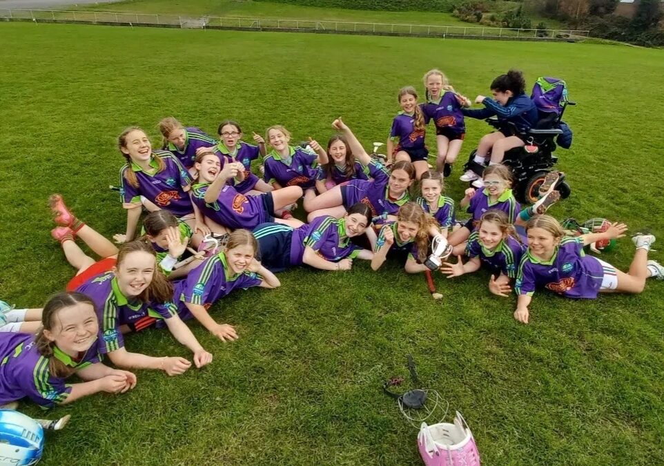 Camogie and Hurling Finals
