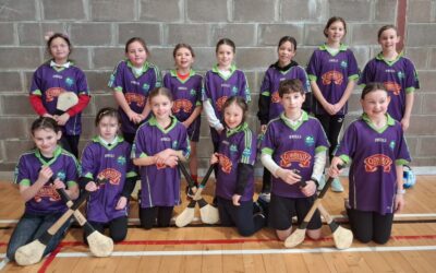 4th Class Camogie and Hurling