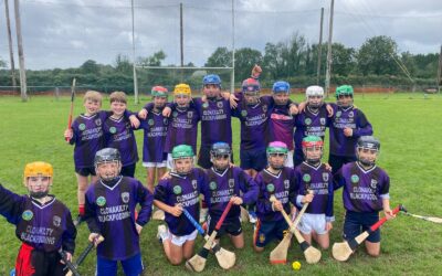 Camogie and Hurling Blitz