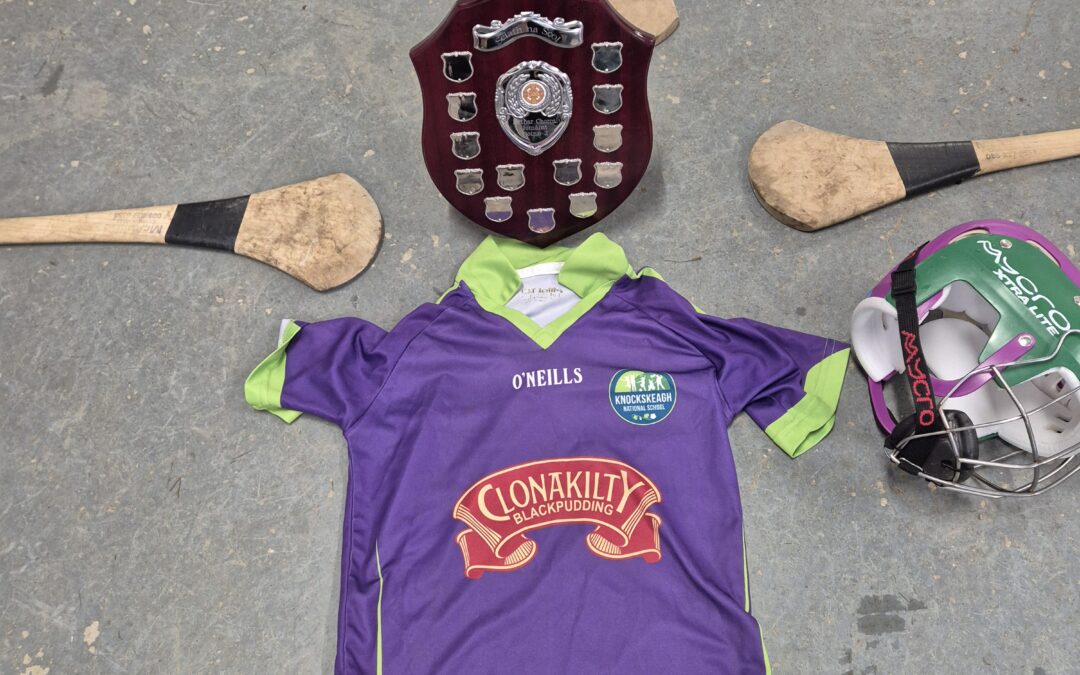 Hurling and Camogie Shield Winners