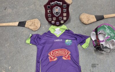 Hurling and Camogie Shield Winners